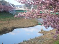 ������ޤĤ�2