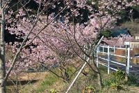 ������ޤĤ�3