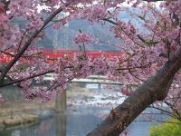 ������ޤĤ�1