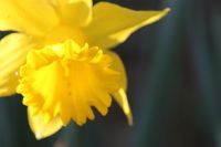 ��������10