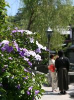 �����פ�