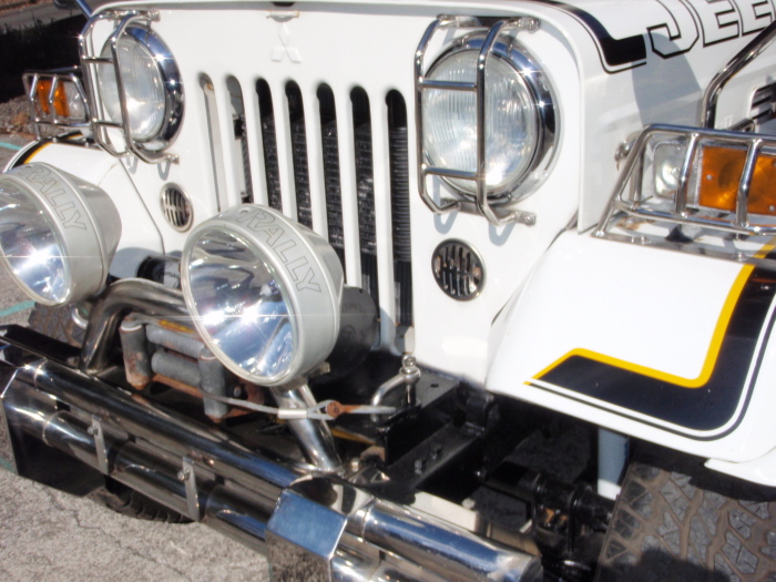 ����å��ǲ�����ɽ��