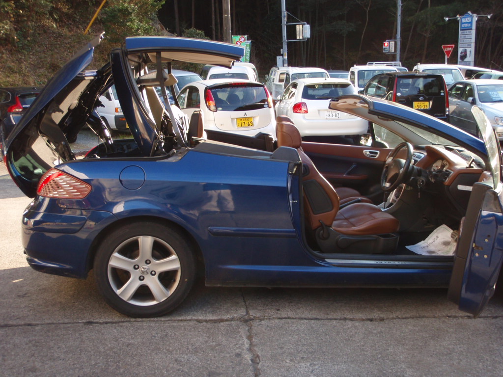 ����å��ǲ�����ɽ��