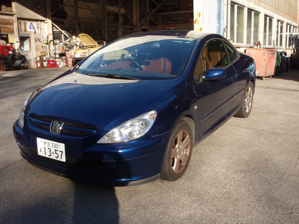 ����å��ǲ�����ɽ��