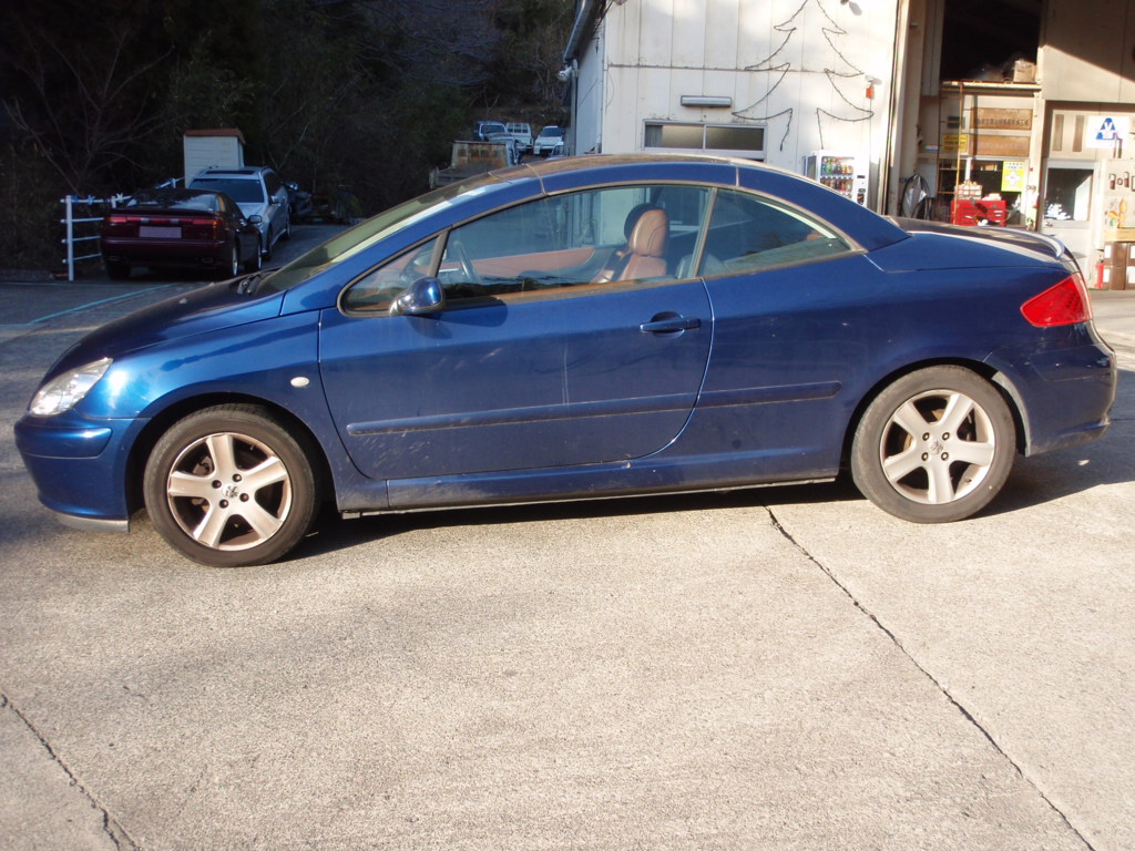 ����å��ǲ�����ɽ��