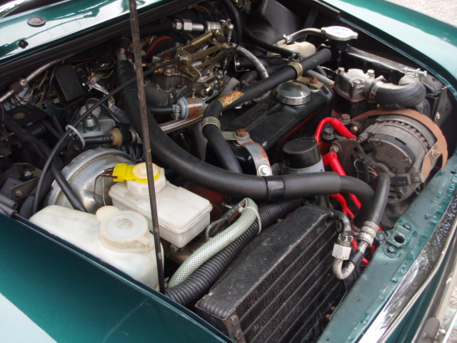 ����å��ǲ�����ɽ��