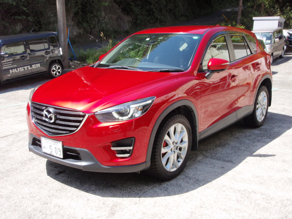 ����å��ǲ�����ɽ��