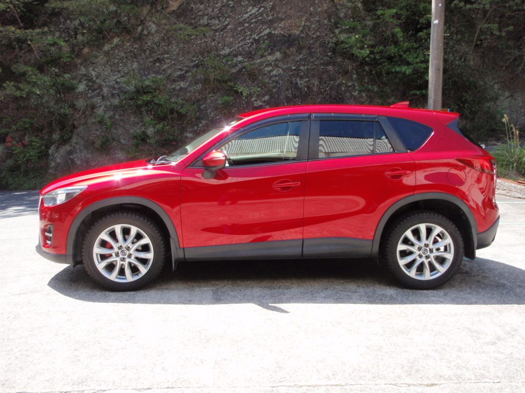 ����å��ǲ�����ɽ��